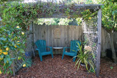 Jillian Steinberger garden design